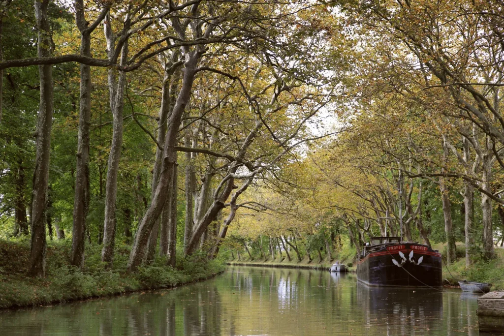 The Canal du Midi