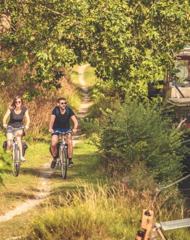 Vélo canal du Midi