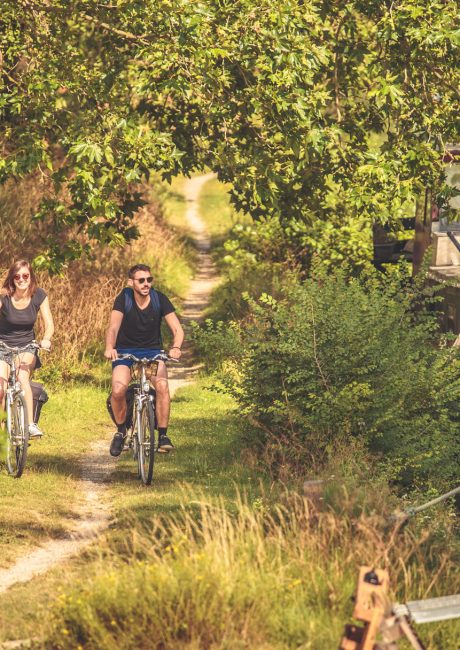 Bicicleta Canal du Midi