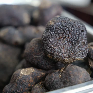 Audoise truffle