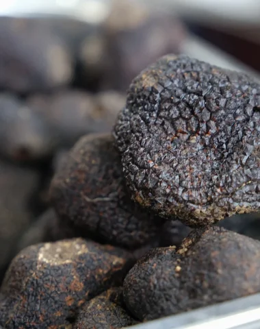 Audoise truffle