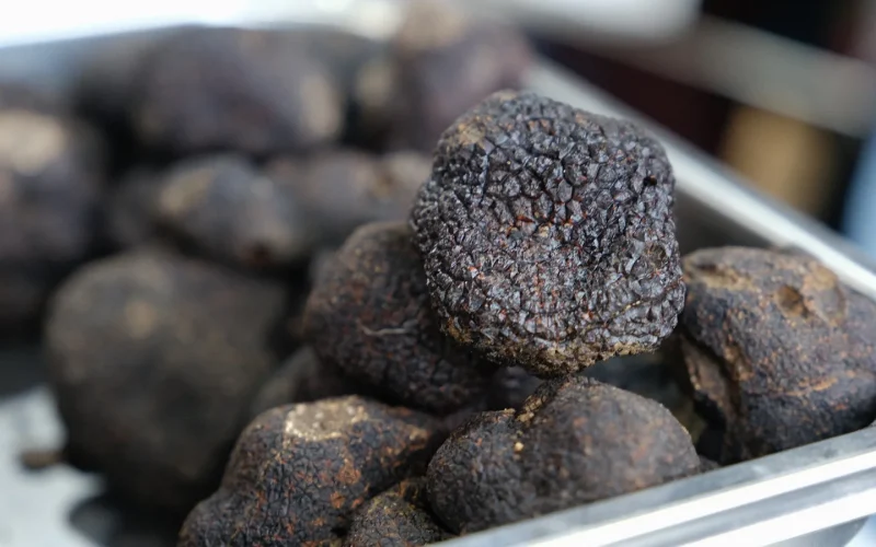 Audoise truffle