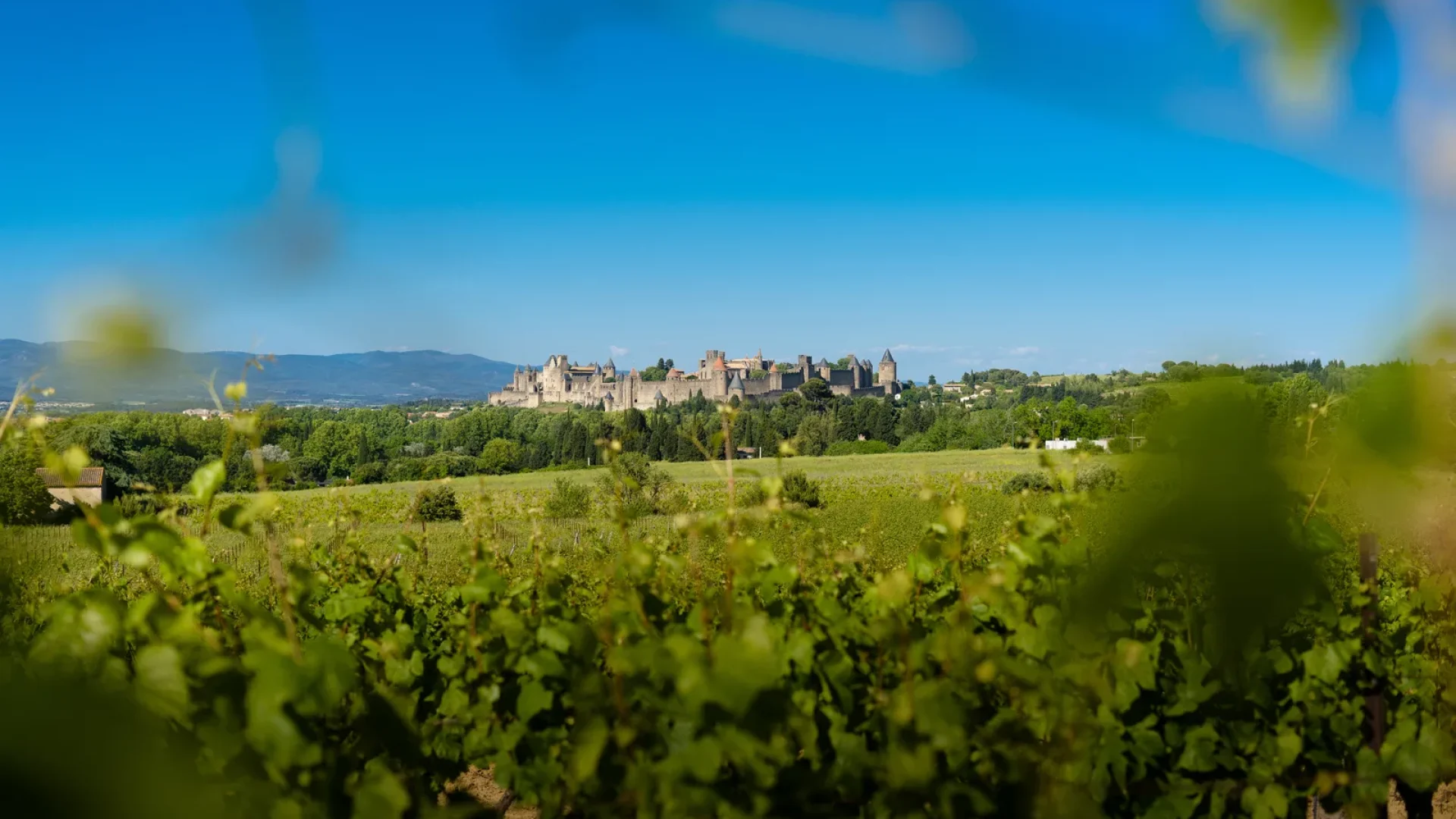 Cité de carcassonne