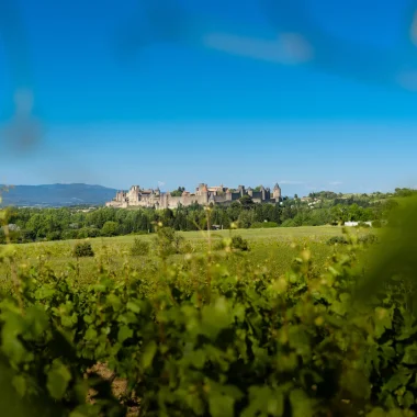 Cité de carcassonne